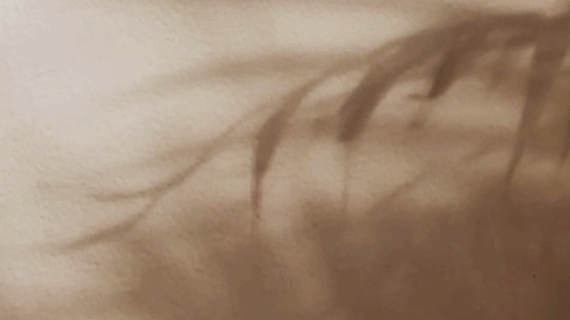 Capture d’écran 2025-11-07 à 04.49.56