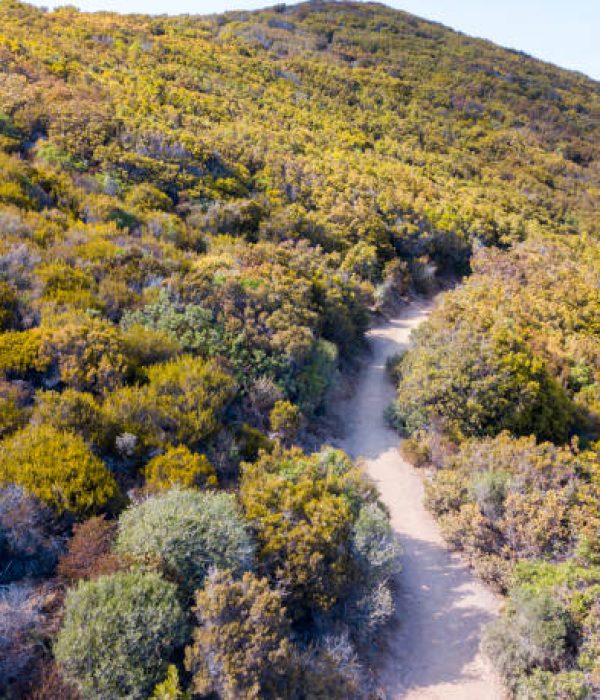 Aerial view of the path of customs officers, vegetation and Mediterranean bush, Corsica, France. Sea and vegetation seen from above, rocks and rocks. Sentier du Douanier. Capo Corso
