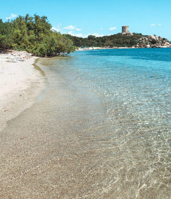 plage-de-la-tour-corse-768x1024