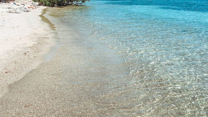 plage-de-la-tour-corse-768x1024